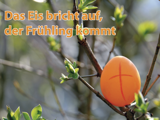 Read more about the article Worte zur Besinnung