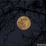 Der Mond ist aufgegangen